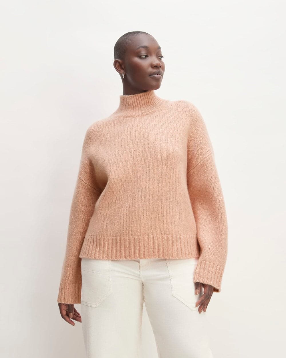 The Cloud Oversized Turtleneck 1