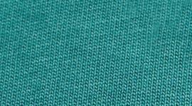 Align™ High-Rise Pant 25"