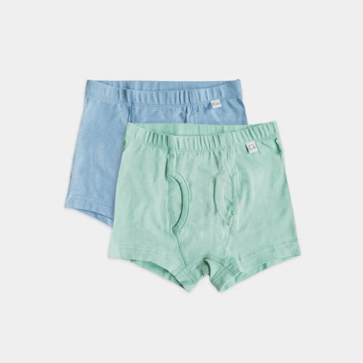 Lichen Eventide Boxer Briefs - 2 Pairs Set