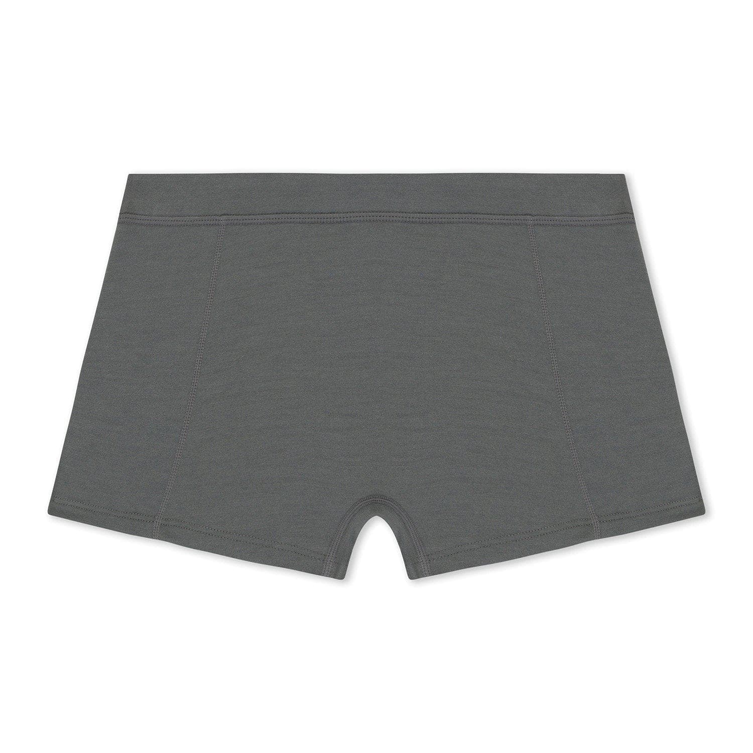 Women's Ridge Merino Wool Boy Short Underwear